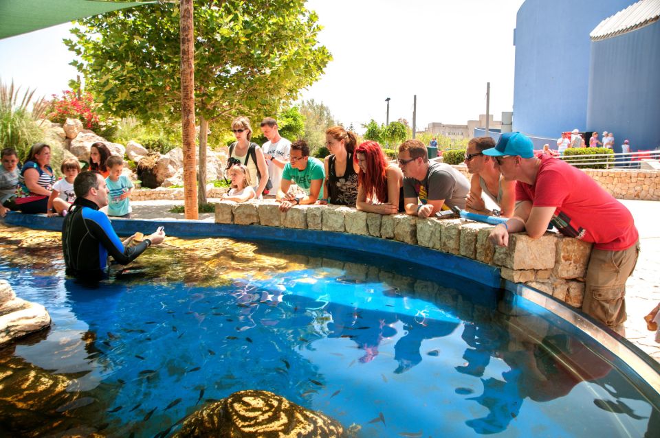 Mallorca: Palma Aquarium Tickets with Transfer - Languages and a live guide start: what it changes for your day