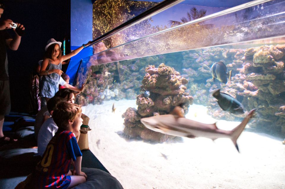 Mallorca: Palma Aquarium Tickets with Transfer - The 8-hour tour schedule from Avinguda de la Platja