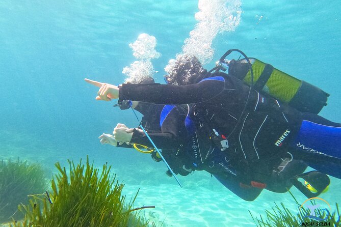 Mallorca PRIVATE Reservation<em>Scuba dive + photo/video – Key Highlights You’ll Actually Care About’ /></p>
<ul>
<li><strong>Private coaching (1 instructor for up to 2 people)</strong> so you move at your pace</li>
<li><strong>Short, simple theory</strong> before you enter the water</li>
<li><strong>From shore, step-by-step depth</strong> starting around 1 meter and working up</li>
<li><strong>No swimming required</strong>, since support is part of the system</li>
<li><strong>GoPro Hero 10 photos and video</strong> included for your underwater memories</li>
<li><strong>Marine life sightings</strong> like octopus and cuttlefish, close enough to feel personal</li>
</ul>
<h2 id="a-private-starter-session-in-palma-with-alex-or-jose">A Private Starter Session in Palma (With Alex or Jose)</h2>
<p><img width="669" height="446" decoding="async" src=