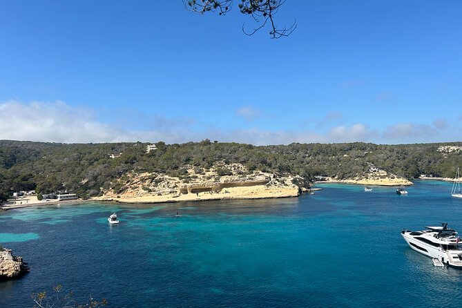 Mallorca Secret Coves Land Rover Private Tour - A Land Rover Ride to Calvià’s Coves