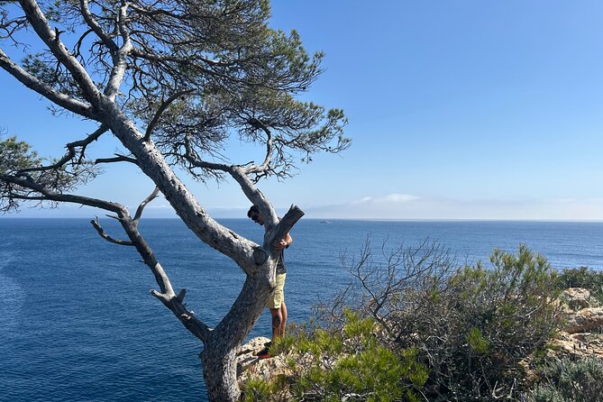 Mallorca Secret Coves Land Rover Private Tour - Why These Coves Feel More Than a Standard Excursion