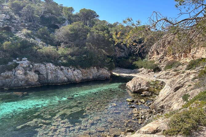 Mallorca Secret Coves Land Rover Private Tour - Water, Soda, and the Pace Between Coves