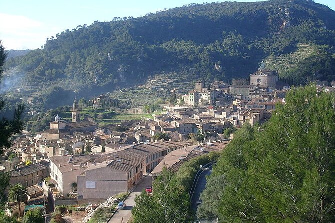 Mallorca Shore Excursion Highlights Private Tour including Valldemossa - Palma old town walk: from Roman city to Madina Mayurqa to Christian Palma