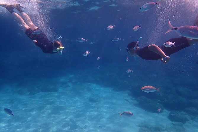 Mallorca: Snorkeling in a Beautiful Nature Reserve - Why This Palma Snorkel Feels Different Than DIY