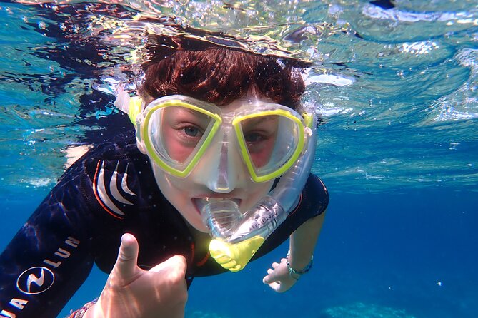 Mallorca: Snorkeling in a Beautiful Nature Reserve - The Carrer de la Milana Snorkel Stop: What You’ll Likely See