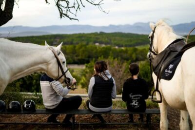 Mallorca: Sunset Horseback Ride with Drinks - Getting started at the Mallorca Horses Center