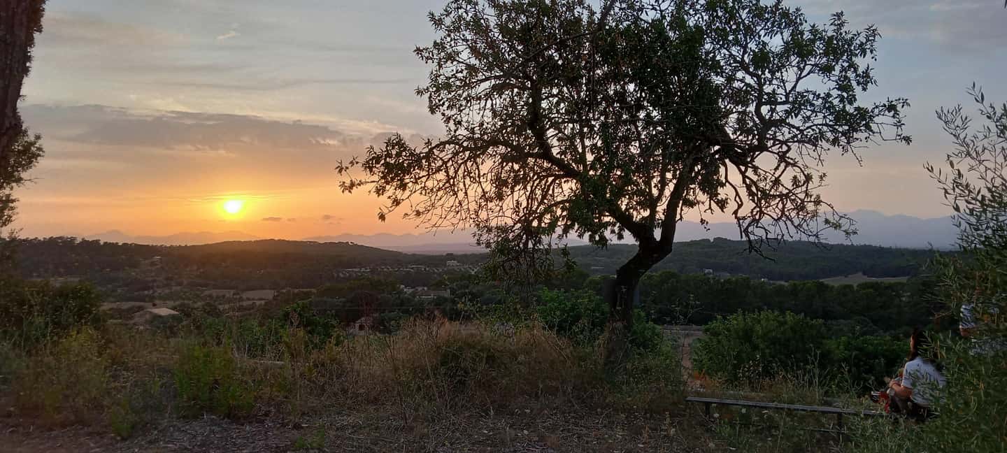 Mallorca: Sunset Horseback Ride with Drinks - The route: from the plain near Puig de Randa to the sunset viewpoint