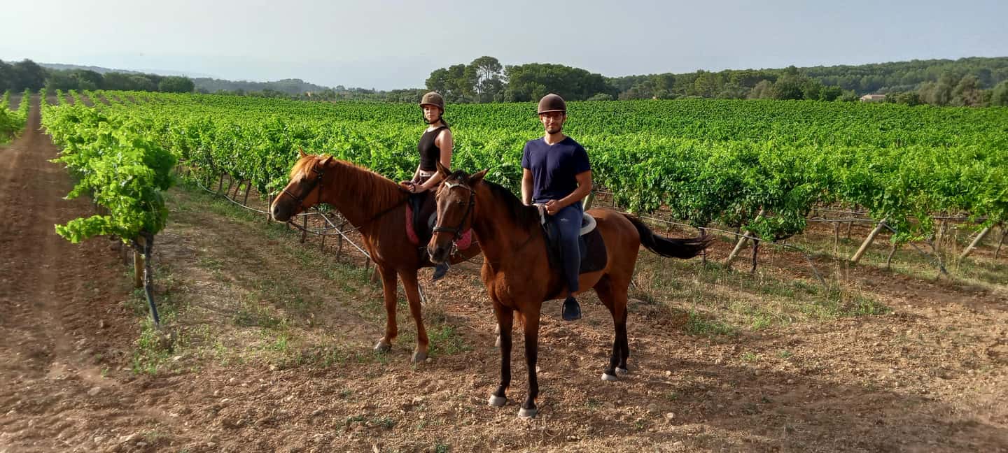 Mallorca: Sunset Horseback Ride with Drinks - Riding back through Randa as night falls