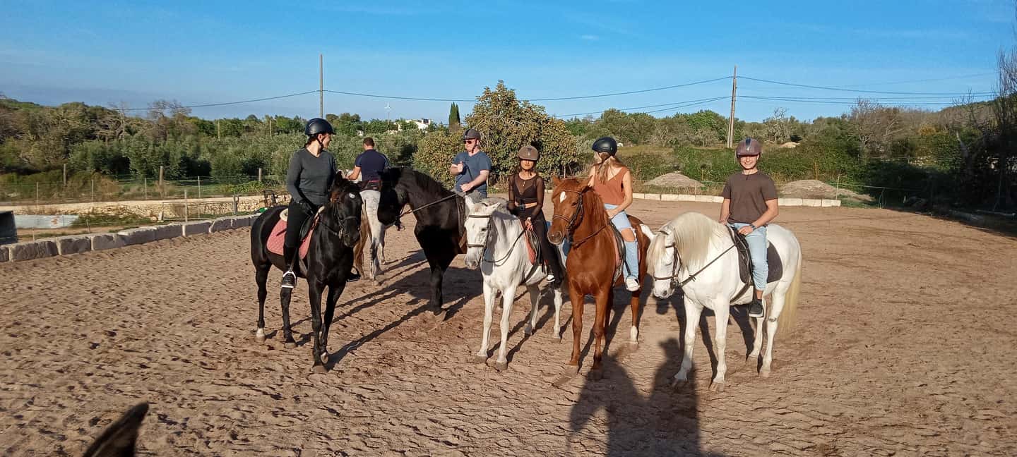 Mallorca: Sunset Horseback Ride with Drinks - Price and value: what $182 buys you (and what you’ll pay separately)