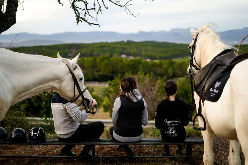 Mallorca: Sunset Horseback Ride with Drinks - Getting started at the Mallorca Horses Center