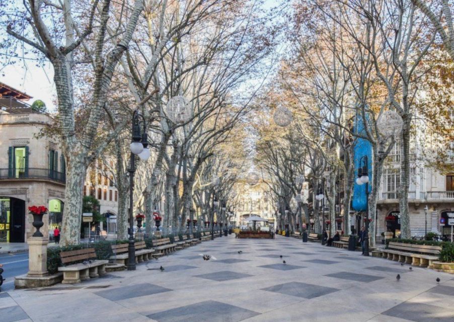 Mallorca: Transfer to Palma self-guided Tour - Getting to Palma Without the Stress: Pickup and Transfer Time