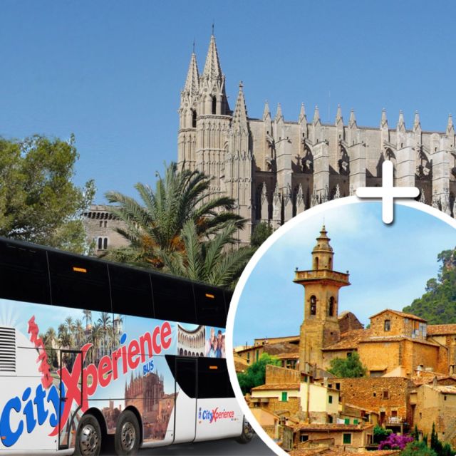 Mallorca: Transfer to Palma self-guided Tour - Who’s Running It: Host Support and Notable Guide Names