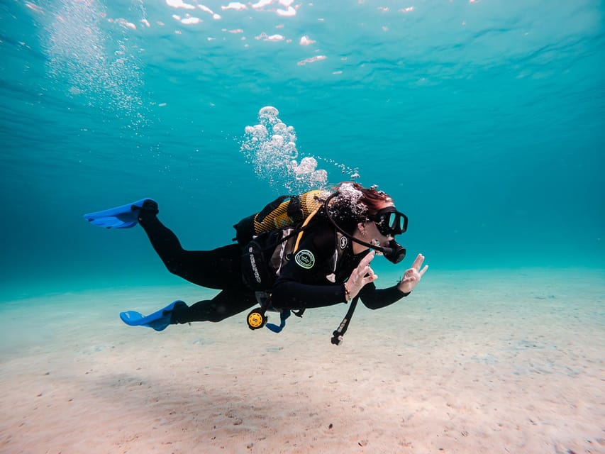 Mallorca: Try Scuba Diving by Boat - Key points before you book