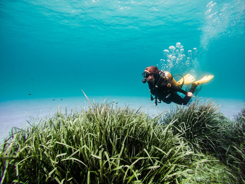 Mallorca: Try Scuba Diving by Boat - Meeting at Skualo Porto Cristo: what to expect in the first stretch