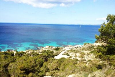 Mallorca: Try Scuba Diving in a Beautiful Nature Reserve - What your instructor team does well (especially for anxious first-timers)