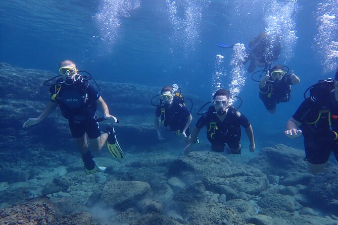 Mallorca: Try Scuba Diving in a Beautiful Nature Reserve - Price and value: what $192.97 includes (and what costs extra)