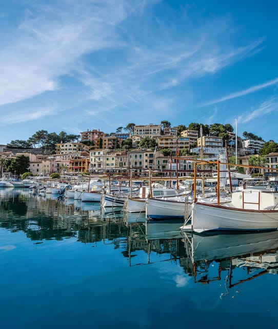 Mallorca: Valdemossa and Port of Soller Coca of Potato - Languages: a guide who keeps the whole bus with you