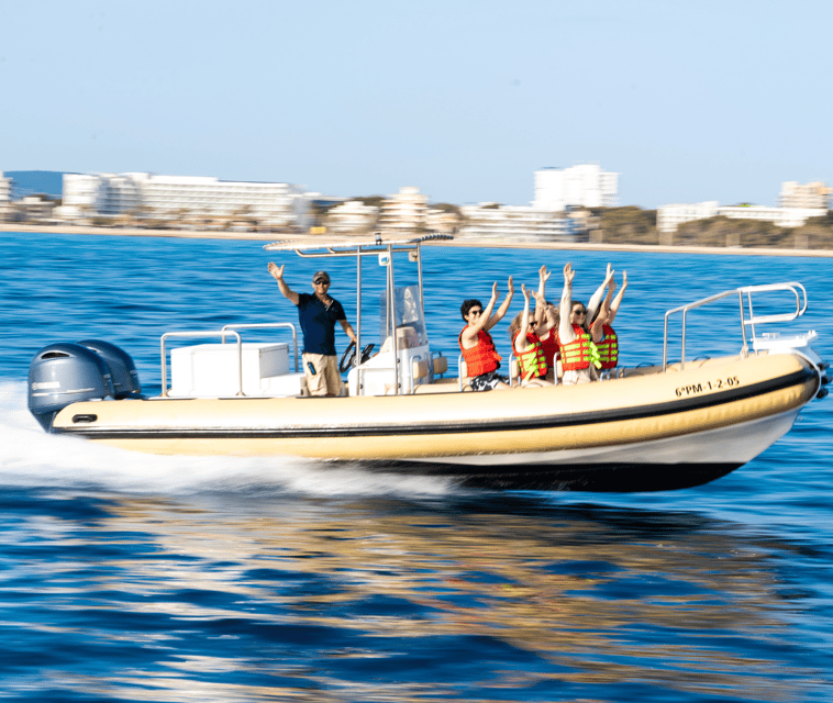 Mallorca: Visit Palma Speedboat adrenaline & snorkelling - The Palma Cathedral pass-by: the sea-view sightseeing moment