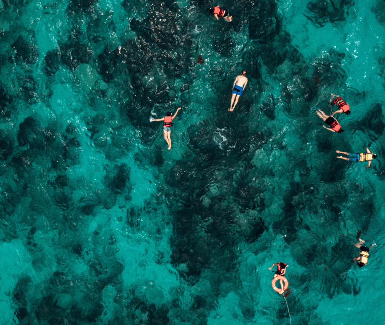 Mallorca: Visit Palma Speedboat adrenaline & snorkelling - The snorkel stop in Palma Bay: water time, gear, and comfort level