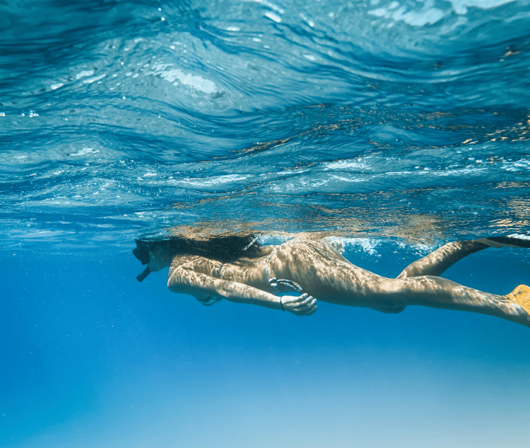 Mallorca: Visit Palma Speedboat adrenaline & snorkelling - What’s included vs. what you’ll need to plan