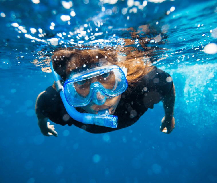 Mallorca: Visit Palma Speedboat adrenaline & snorkelling - Who should book this Mallorca speedboat snorkelling trip?