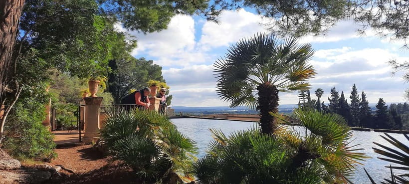 Mallorca: West Coast & Orange Valley Minbustour GERMAN GUIDE - The Country Manor House, Museum, and Gardens Moment
