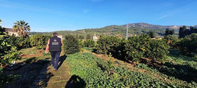 Mallorca: West Coast & Orange Valley Minbustour GERMAN GUIDE - Price and Value: What $113 Buys You on One Mallorca Day