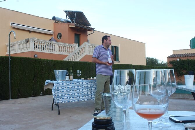 Mallorca Wine and Cheese Tasting - The Experience Rhythm: One Setting, One Host, Enough Time to Compare