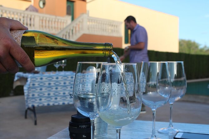 Mallorca Wine and Cheese Tasting - How Local the Learning Feels: Native Grapes Without the Lecture