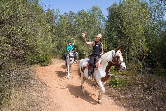 Mallorca Wine and Cheese Tasting - Language Options and Personal Preferences