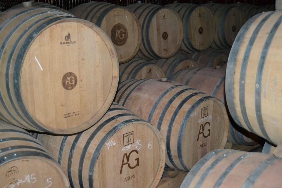 Mallorca: Wine Cellar Tour XL - 3 Wine Tastings incl. GERMAN - Should you book Mallorca Wine Cellar Tour XL?