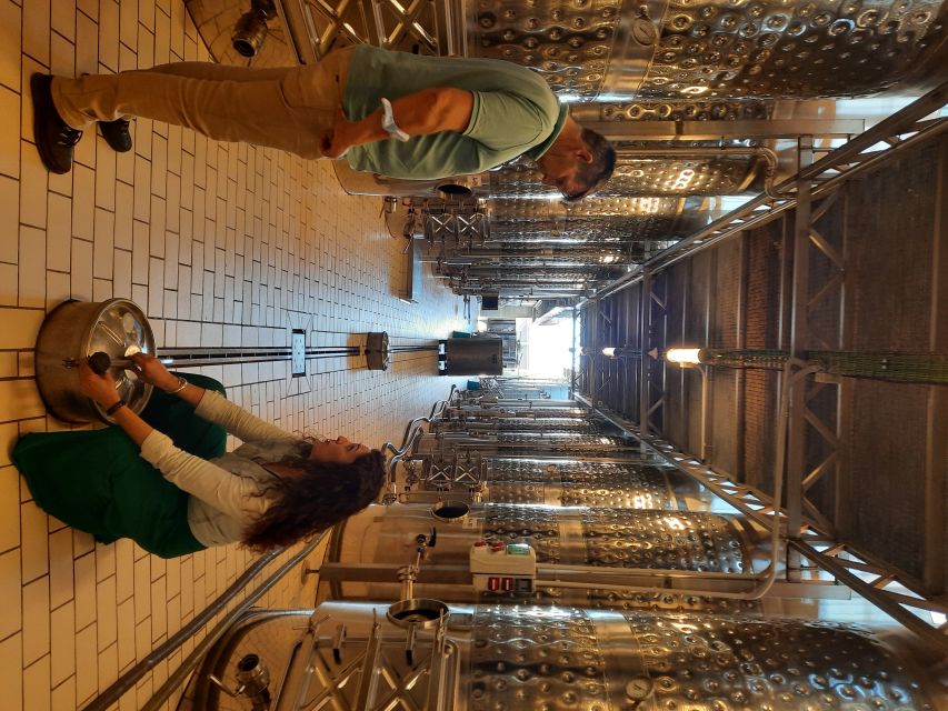 Mallorca: Wine Cellar Tour XL - 3 Wine Tastings incl. GERMAN - Price and value: why $191 can make sense (or not)