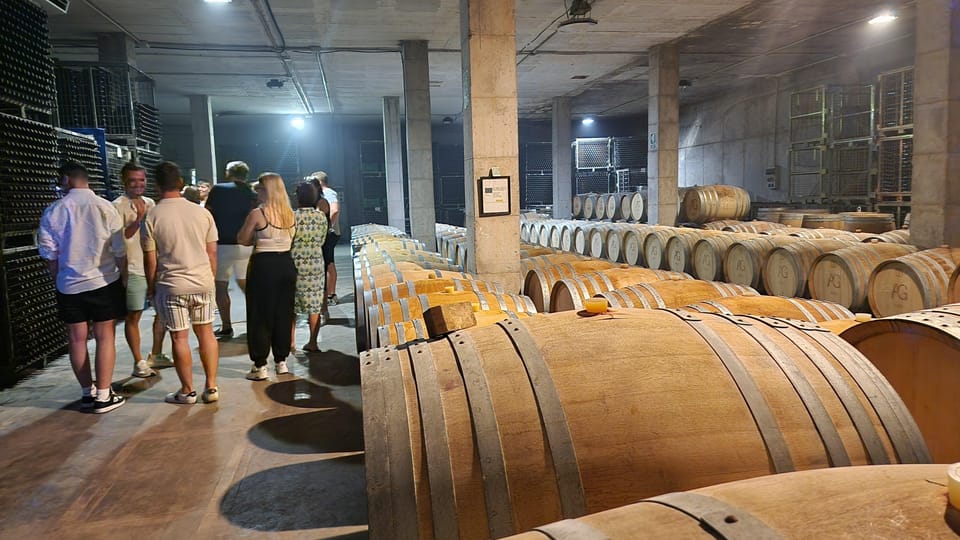 Mallorca: Wine Cellar Tour XL - 3 Wine Tastings incl. GERMAN - Small-group feel in practice: what to expect with your guide