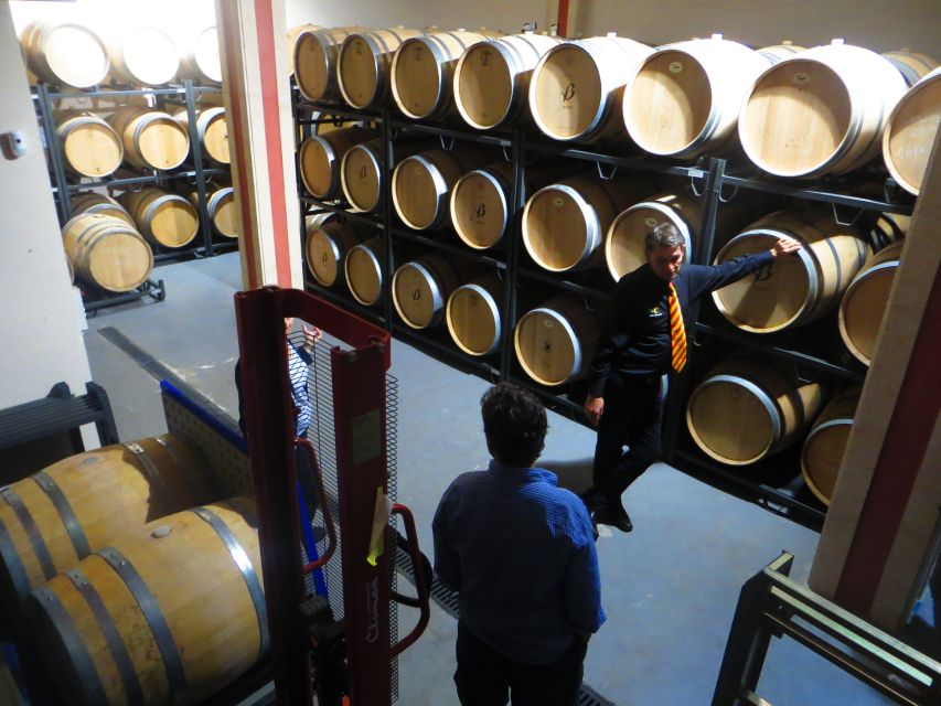 Mallorca: Wine Cellar Tour XL - 3 Wine Tastings incl. GERMAN - Three regions, three cellars: what you’ll actually taste