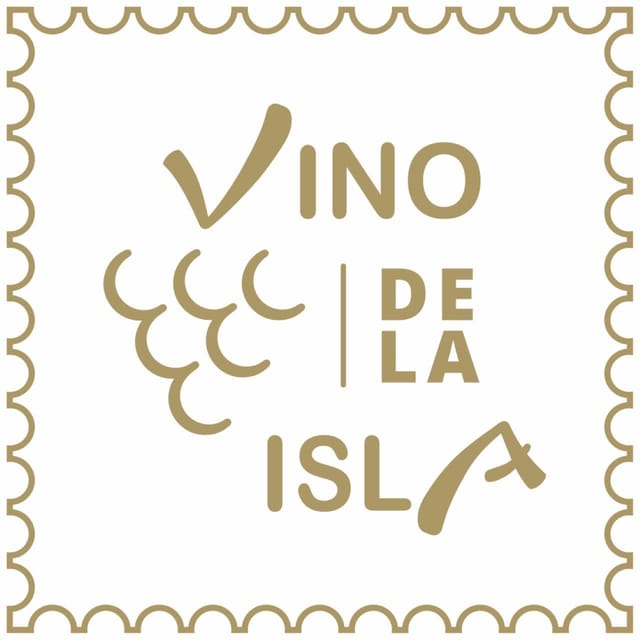 Mallorca: Wine Tasting from the smallest wineries 5 Wines - Groups, language options, and how the experience works socially