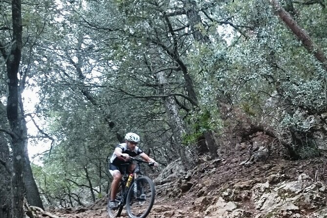 MTB guided tour in Bellver forest and Na Burguesa m.(E-MTB avai.) - Key things to know before you pedal