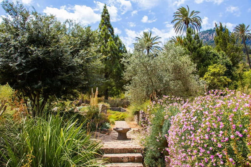 MUCBO | Jardí Botànic de Sóller - Balearic Museum of Natural Sciences - MUCBO in Sóller: Mallorca’s only natural-science museum and botanical garden
