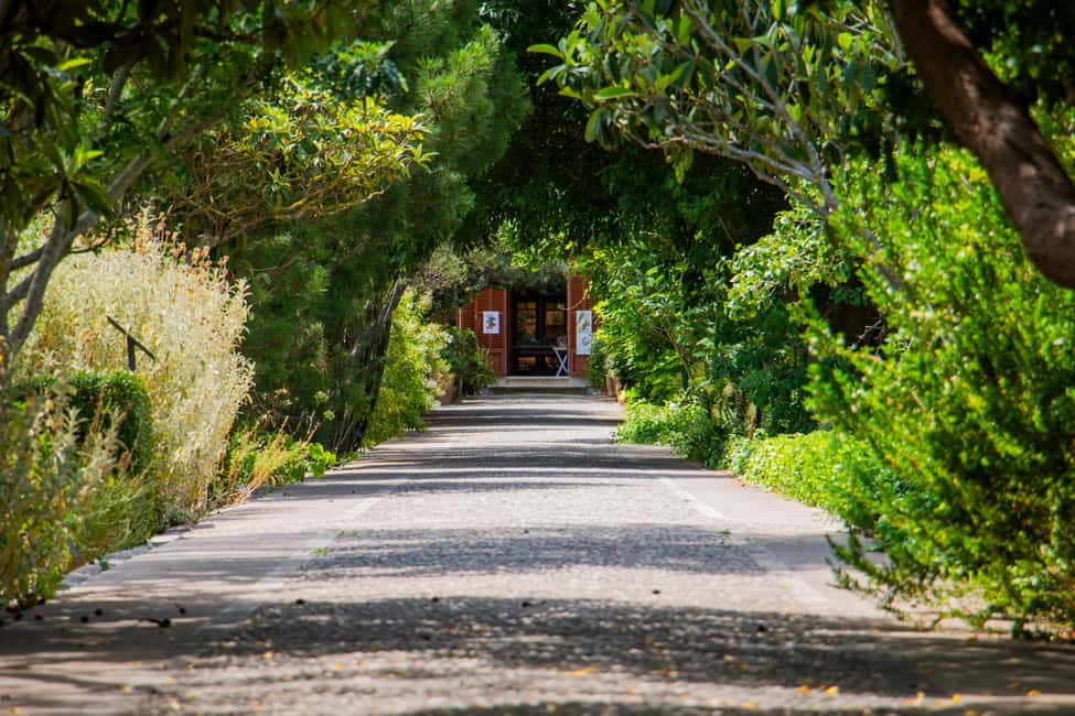 MUCBO | Jardí Botànic de Sóller - Balearic Museum of Natural Sciences - The botanical garden experience: living plants, herbarium, and a germplasm bank