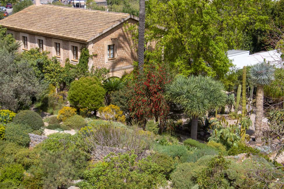 MUCBO | Jardí Botànic de Sóller - Balearic Museum of Natural Sciences - Price and value: what $11 covers, and where the experience can vary
