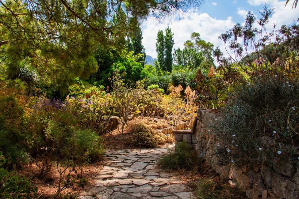 MUCBO | Jardí Botànic de Sóller - Balearic Museum of Natural Sciences - The Balearic Museum of Natural Sciences: geology, paleontology, and today’s biodiversity