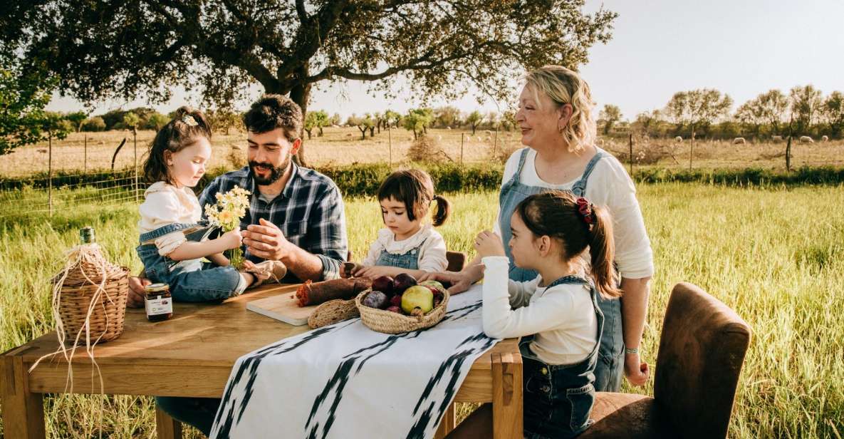 Olive plant and mill visit and tasting - The Picnic Built Around Mallorca: Pa amb Oli and More