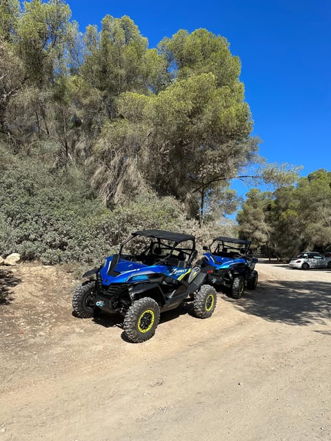 Paguera: 2 Hour Buggy Tour - The CF Moto ZForce is automatic, and that’s a big deal
