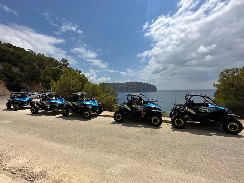 Paguera: 2 Hour Buggy Tour - Mountain driving after the viewpoints: Es Capdella to Andratx