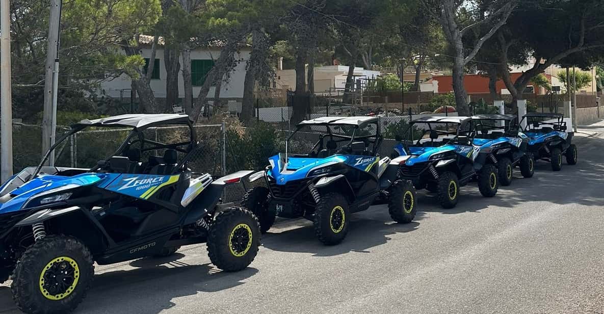 Paguera: 2 Hour Buggy Tour - Camp de Mar on the return: golf fields and a calmer finish