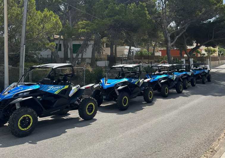 Paguera: 2 Hour Buggy Tour - Meeting point at Carrer de La Savina: getting started without stress