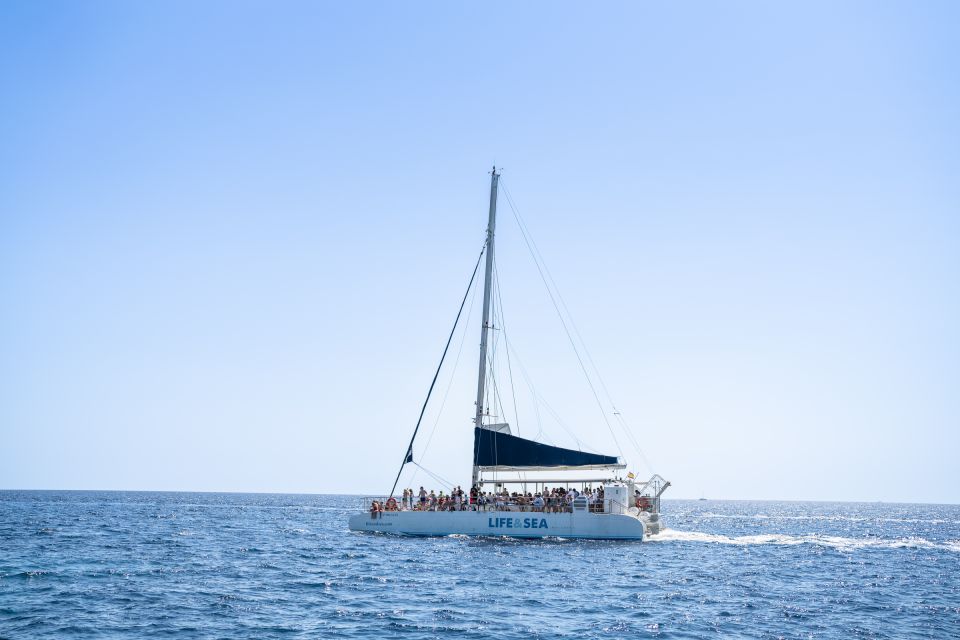 Palma: Catamaran Cruise with Swimming and Snorkelling - Swim stops that feel worth it: stairs, ledges, snorkeling gear