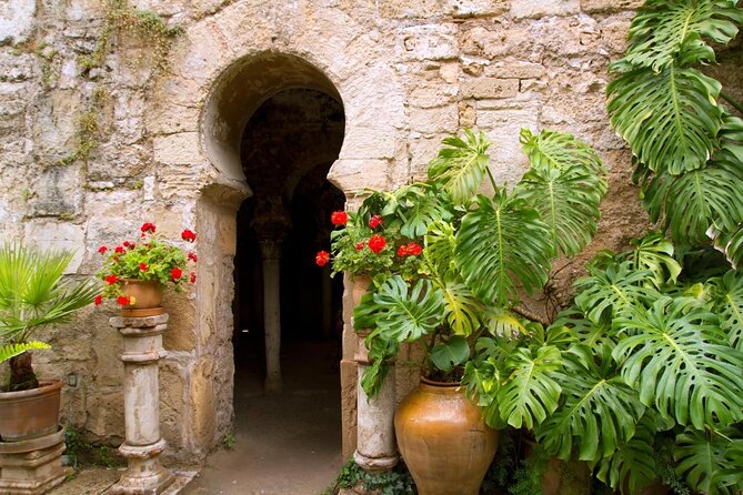 Palma Cathedral & Surroundings PRIVATE TOUR with Ticket Included - Key highlights worth planning for