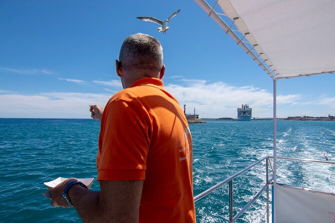 Palma de Mallorca Bay Boat Trip - Boarding, Boat Type, and the Crew’s Role in the Experience