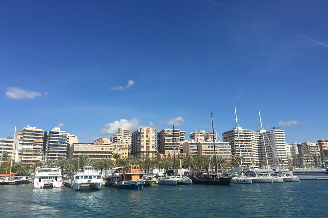 Palma de Mallorca Bay Boat Trip - Who Should Book This Palma Bay Boat Trip?