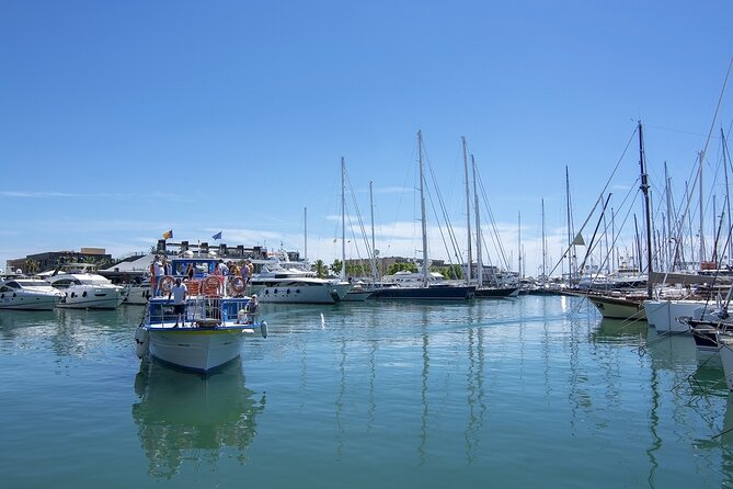 Palma de Mallorca Bay Boat Trip - The Port Scene: Fishing Boats, Cruise Ships, and Mega-Yachts